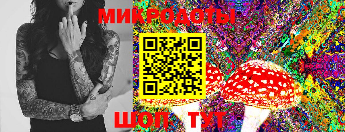 Галлюциногенные грибы Psilocybine cubensis Троицк